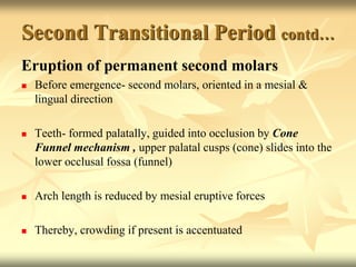 Second Transitional Period contd…
Eruption of permanent second molars
 Before emergence- second molars, oriented in a mesial &
lingual direction
 Teeth- formed palatally, guided into occlusion by Cone
Funnel mechanism , upper palatal cusps (cone) slides into the
lower occlusal fossa (funnel)
 Arch length is reduced by mesial eruptive forces
 Thereby, crowding if present is accentuated
 