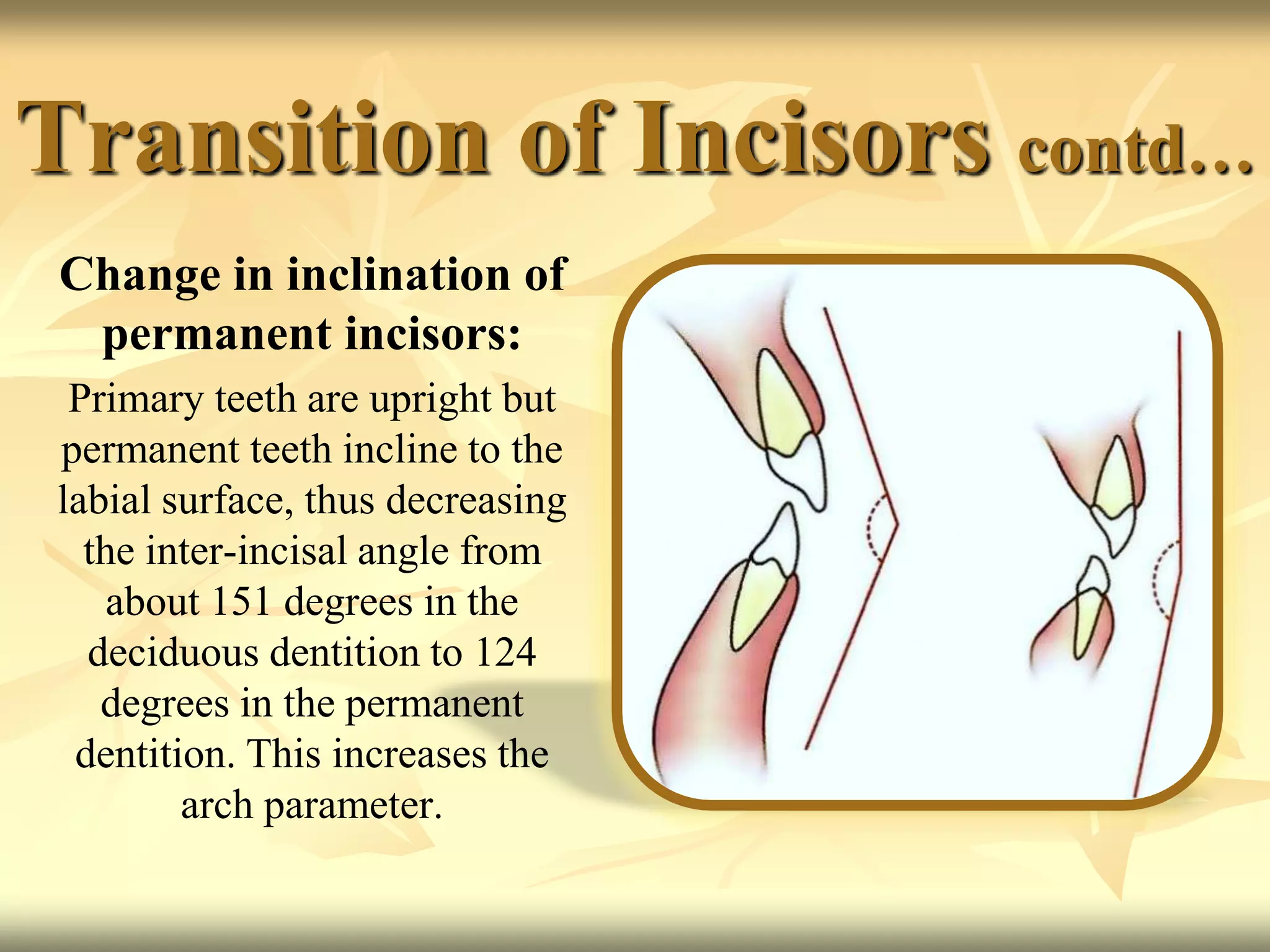 Teeth Incliners Development of occlusion. | PPTX