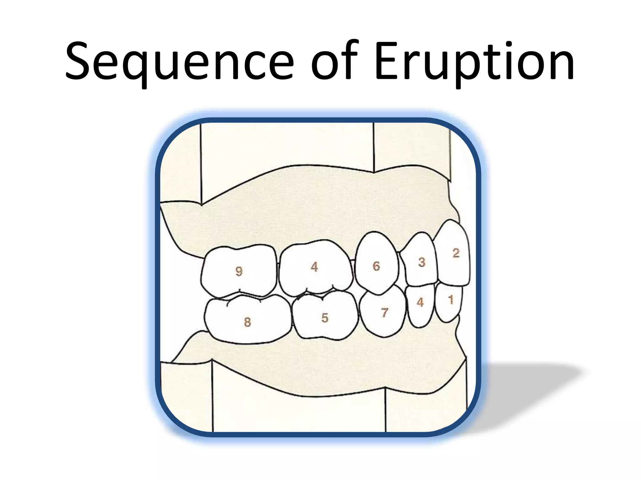 Sequence of Eruption
 