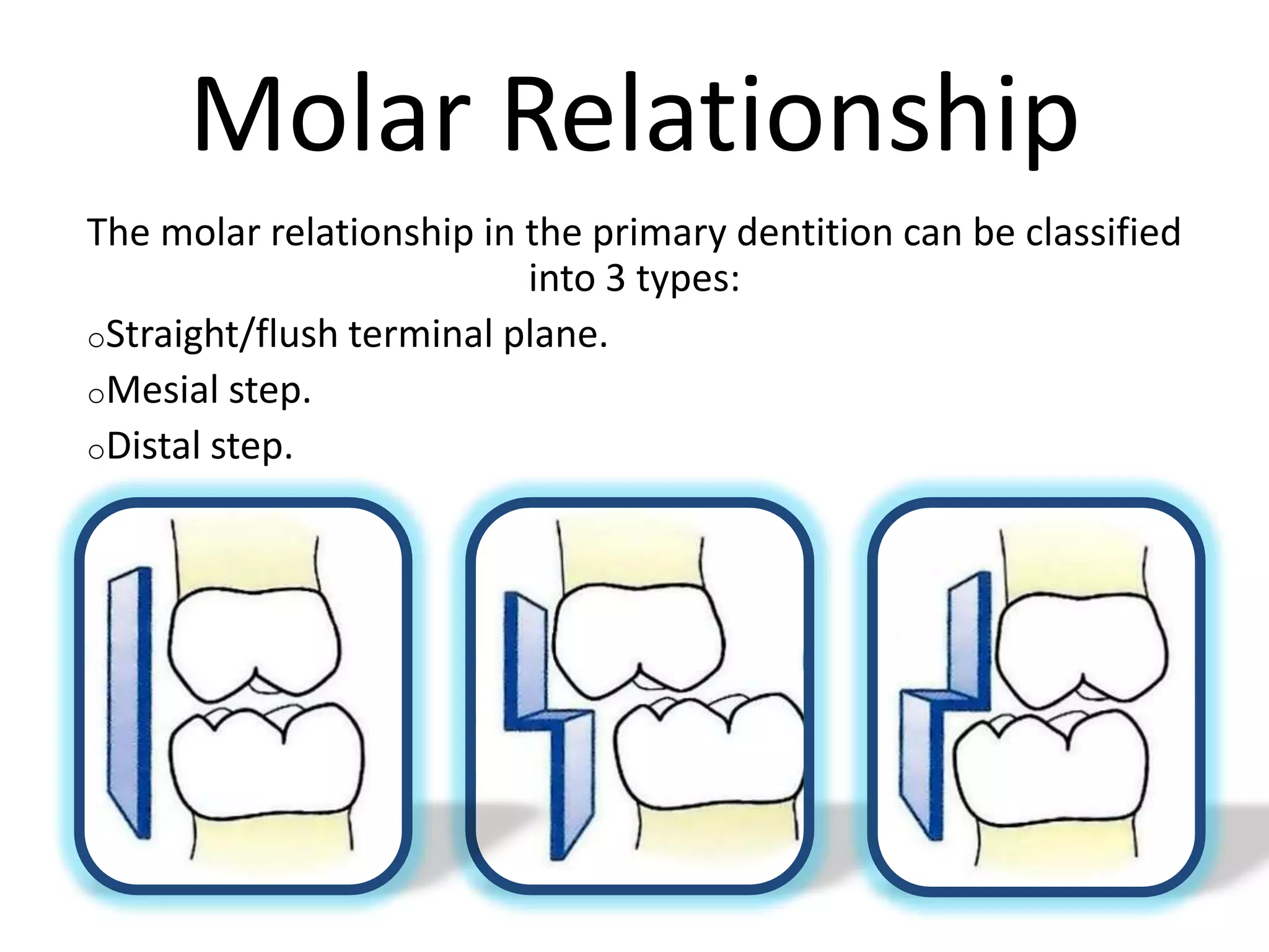 Molar Relationship
The molar relationship in the primary dentition can be classified
into 3 types:
oStraight/flush terminal plane.
oMesial step.
oDistal step.
 