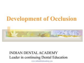 Development of Occlusion
INDIAN DENTAL ACADEMY
Leader in continuing Dental Education
www.indiandentalacademy.com
 