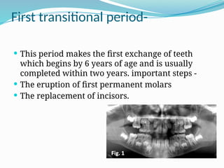 Transitional Teeth Development of occlusion-Orthodontic seminar | PPTX