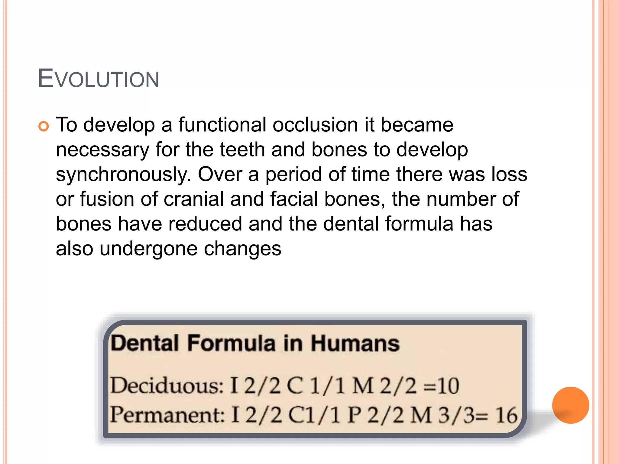 EVOLUTION
 To develop a functional occlusion it became
necessary for the teeth and bones to develop
synchronously. Over a period of time there was loss
or fusion of cranial and facial bones, the number of
bones have reduced and the dental formula has
also undergone changes
 