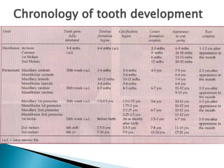 Chronology of tooth development
 