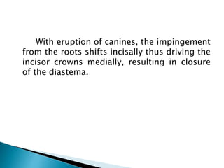 With eruption of canines, the impingement
from the roots shifts incisally thus driving the
incisor crowns medially, resulting in closure
of the diastema.
 