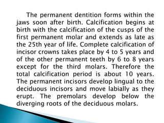 The permanent dentition forms within the
jaws soon after birth. Calcification begins at
birth with the calcification of the cusps of the
first permanent molar and extends as late as
the 25th year of life. Complete calcification of
incisor crowns takes place by 4 to 5 years and
of the other permanent teeth by 6 to 8 years
except for the third molars. Therefore the
total calcification period is about 10 years.
The permanent incisors develop lingual to the
deciduous incisors and move labially as they
erupt. The premolars develop below the
diverging roots of the deciduous molars.
 
