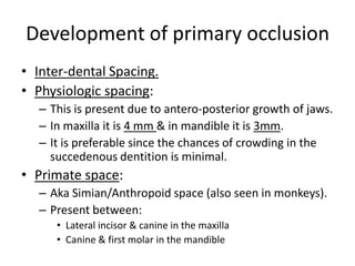 Development of occlusion_kritika | PPTX