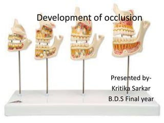 Development of occlusion




                 Presented by-
                 Kritika Sarkar
                B.D.S Final year
 