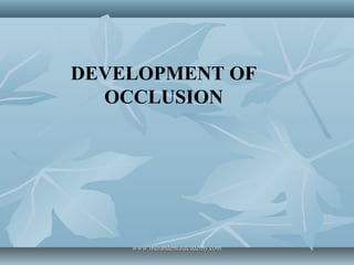 DEVELOPMENT OF
OCCLUSION

www.indiandentalacademy.com

 
