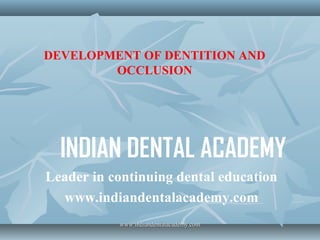 DEVELOPMENT OF DENTITION AND
OCCLUSION

INDIAN DENTAL ACADEMY
Leader in continuing dental education
www.indiandentalacademy.com
www.indiandentalacademy.com

 