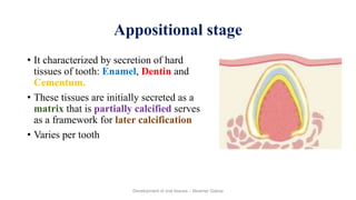 Development of dental tissues.ppt