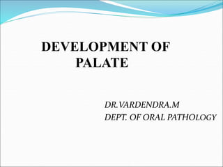 DEVELOPMENT OF
PALATE
DR.VARDENDRA.M
DEPT. OF ORAL PATHOLOGY
 