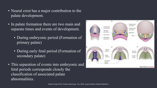 Development of Palate and its Anamolies.pptx
