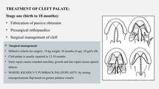 DEVELOPMENT OF PALATE AND ITS APPLIED ANATOMY.pptx