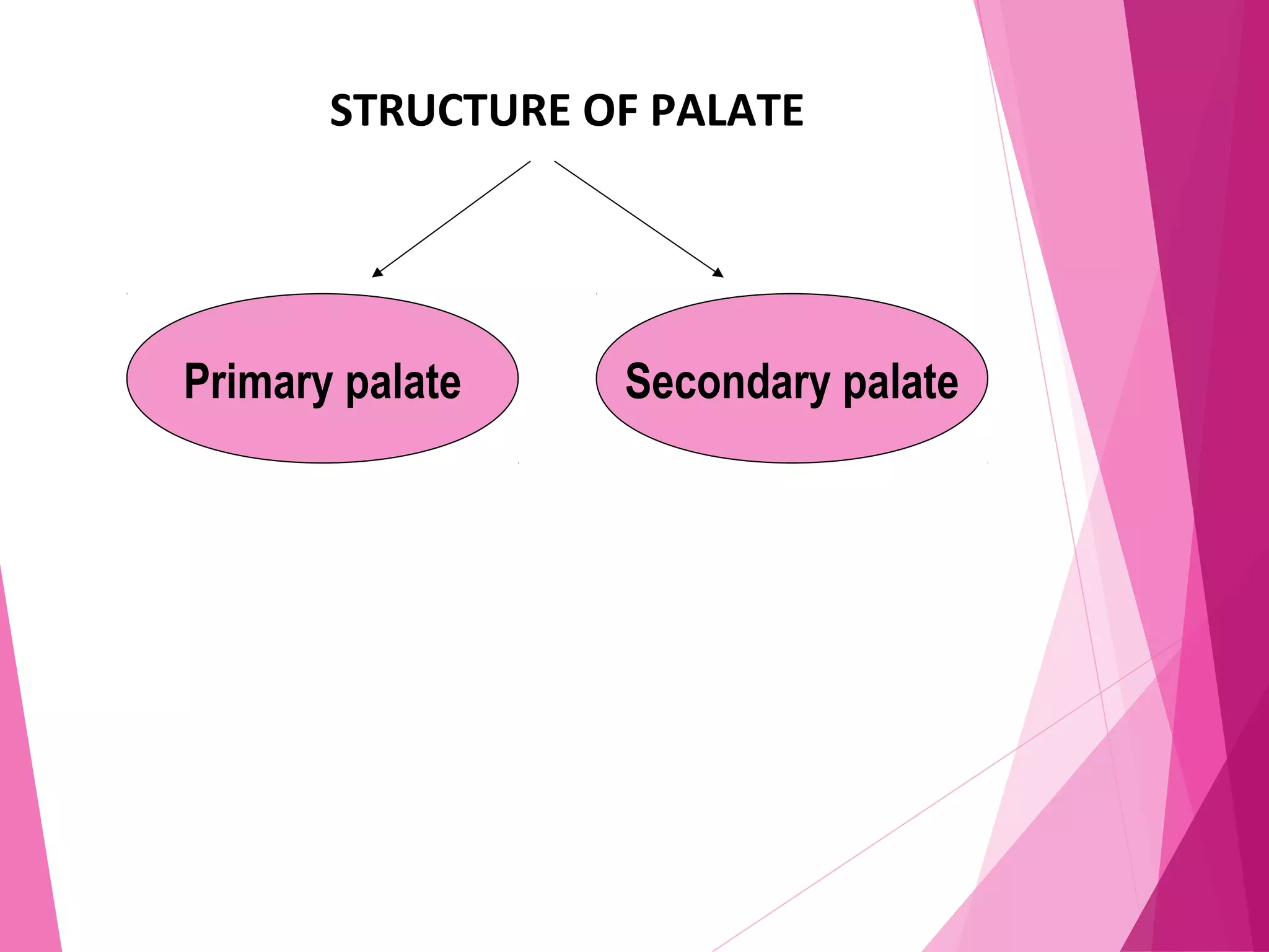 STRUCTURE OF PALATE
Primary palate Secondary palate
 
