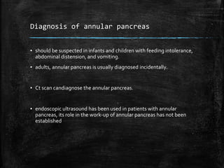 Development of pancreas