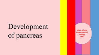 DevelopmentofthePancreas
Development of pancreas
Nizad sultana
Department of
Zoology
UOG
Development
of pancreas
 