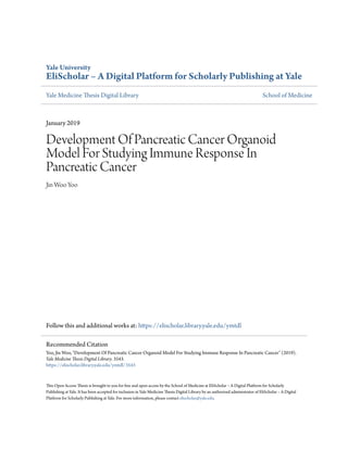 Yale University
EliScholar – A Digital Platform for Scholarly Publishing at Yale
Yale Medicine Thesis Digital Library School of Medicine
January 2019
Development Of Pancreatic Cancer Organoid
Model For Studying Immune Response In
Pancreatic Cancer
Jin Woo Yoo
Follow this and additional works at: https://elischolar.library.yale.edu/ymtdl
This Open Access Thesis is brought to you for free and open access by the School of Medicine at EliScholar – A Digital Platform for Scholarly
Publishing at Yale. It has been accepted for inclusion in Yale Medicine Thesis Digital Library by an authorized administrator of EliScholar – A Digital
Platform for Scholarly Publishing at Yale. For more information, please contact elischolar@yale.edu.
Recommended Citation
Yoo, Jin Woo, "Development Of Pancreatic Cancer Organoid Model For Studying Immune Response In Pancreatic Cancer" (2019).
Yale Medicine Thesis Digital Library. 3543.
https://elischolar.library.yale.edu/ymtdl/3543
 