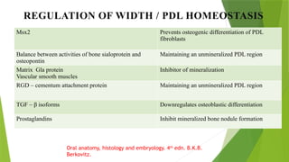 DEVELOPMENT_OF_PERIODONTIUM[1] anoushka.pptx