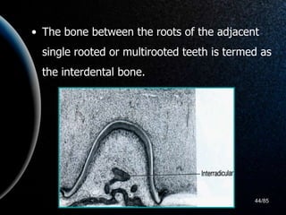 development of periodontium.ppt