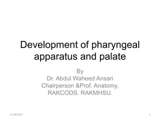 Development of pharyngeal
apparatus and palate
By
Dr. Abdul Waheed Ansari
Chairperson &Prof. Anatomy,
RAKCODS. RAKMHSU.
12/18/2014 1
 