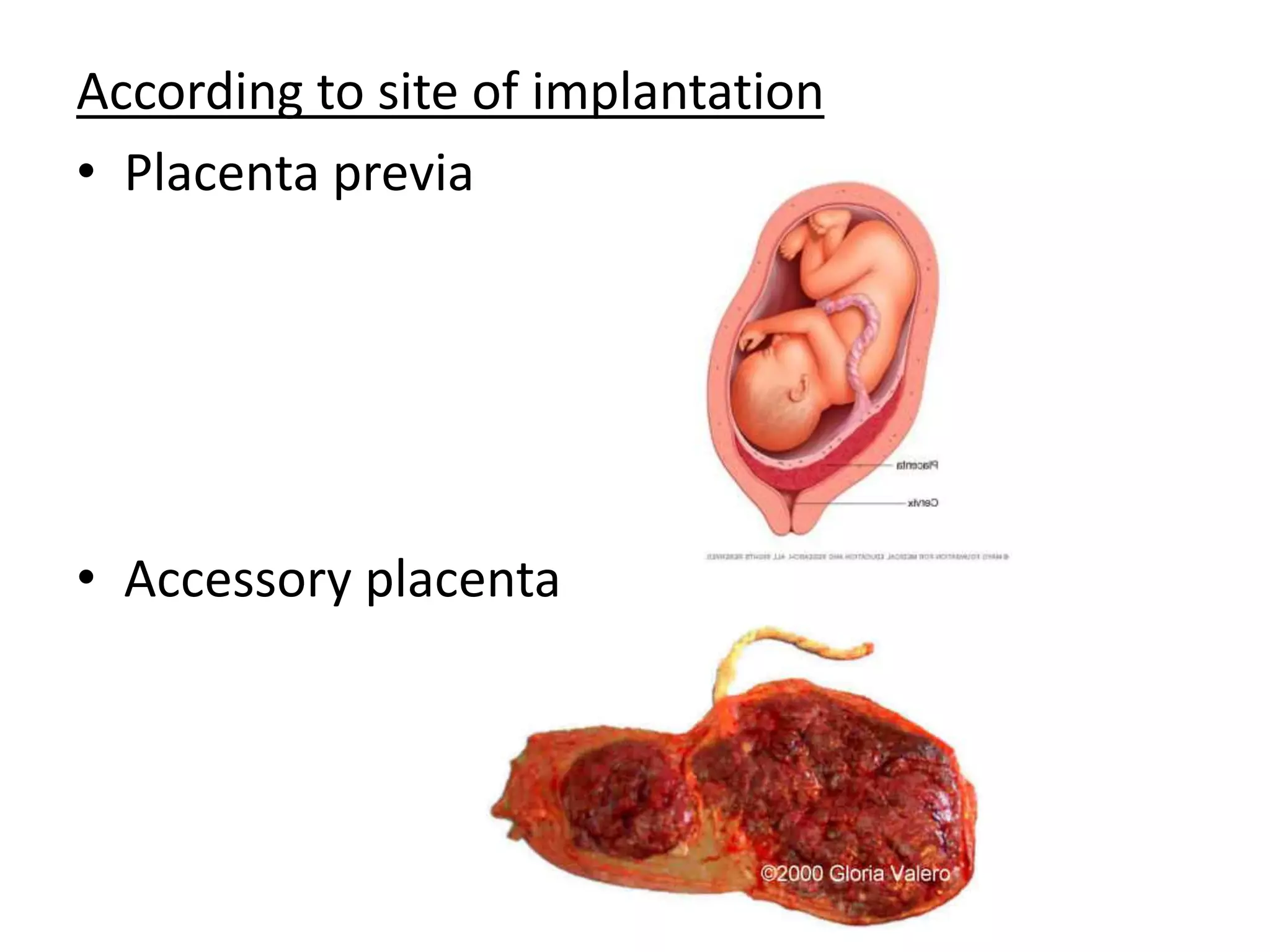 Development of Placenta.pptx