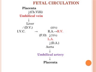 development of placenta and aminiotc fluid function.pptx