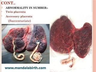 development of placenta and aminiotc fluid function.pptx