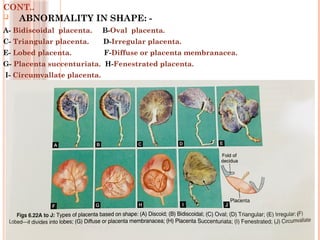 development of placenta and aminiotc fluid function.pptx