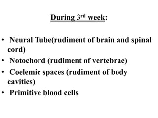 DEVELOPMENT OF PLACENTA AND FETUS.pptx