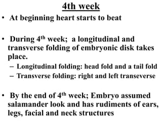 DEVELOPMENT OF PLACENTA AND FETUS.pptx