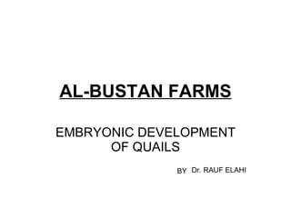 AL-BUSTAN FARMS EMBRYONIC DEVELOPMENT OF QUAILS Dr. RAUF ELAHI BY 