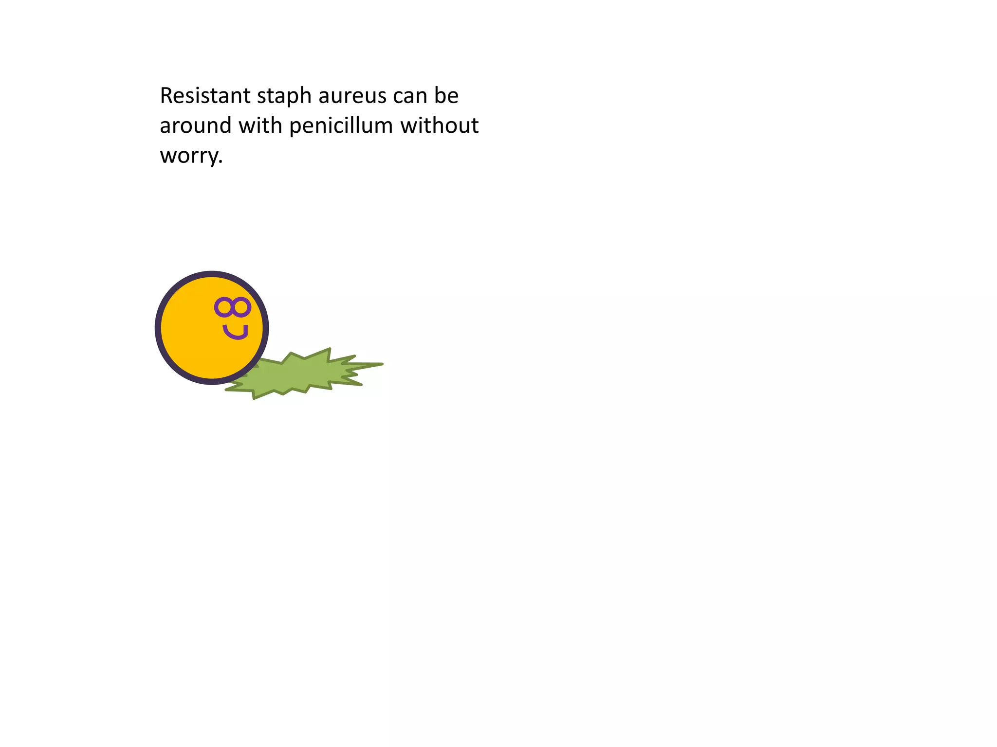 Resistant staph aureus can be
around with penicillum without
worry.
 