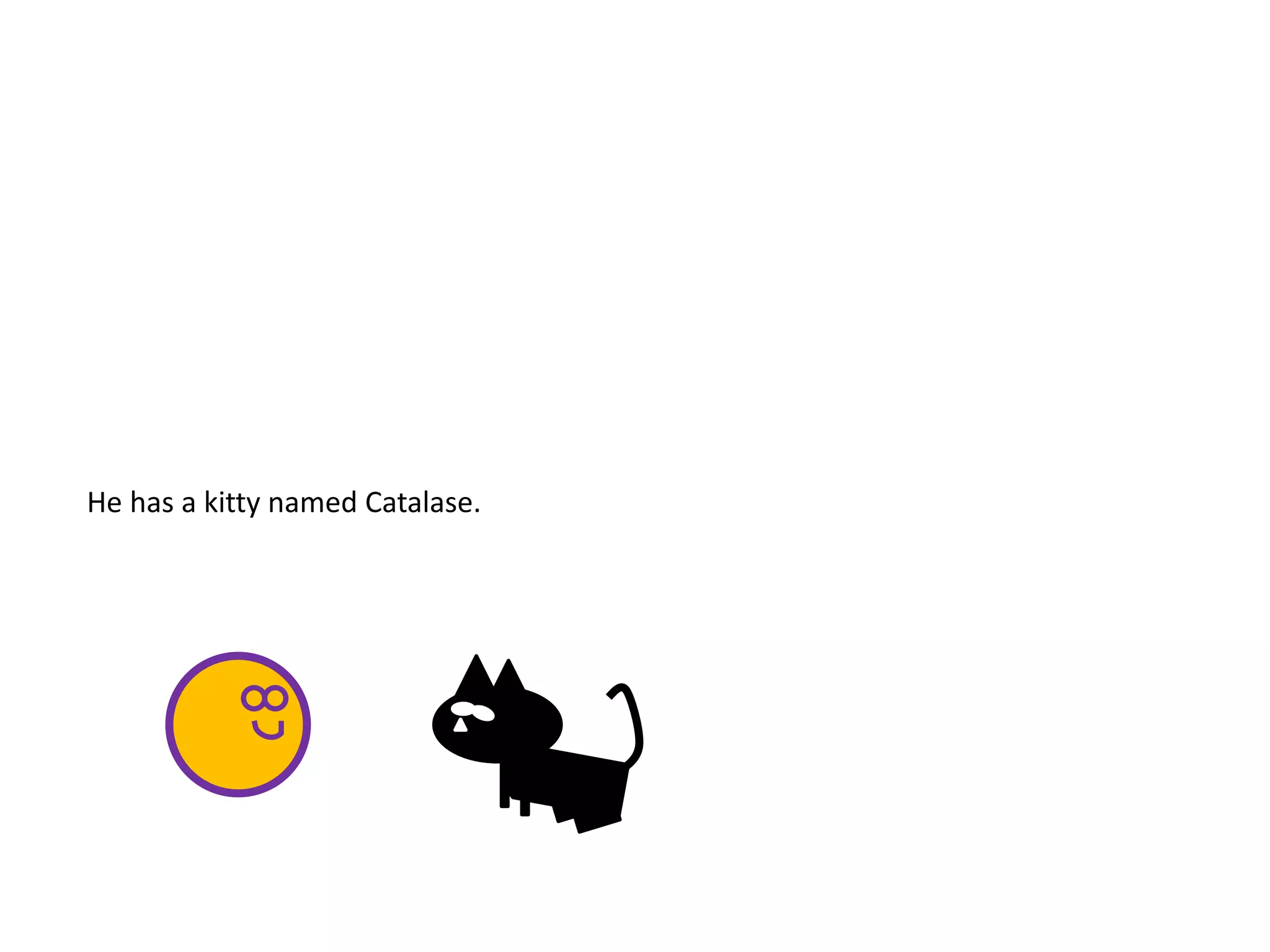 He has a kitty named Catalase.
 