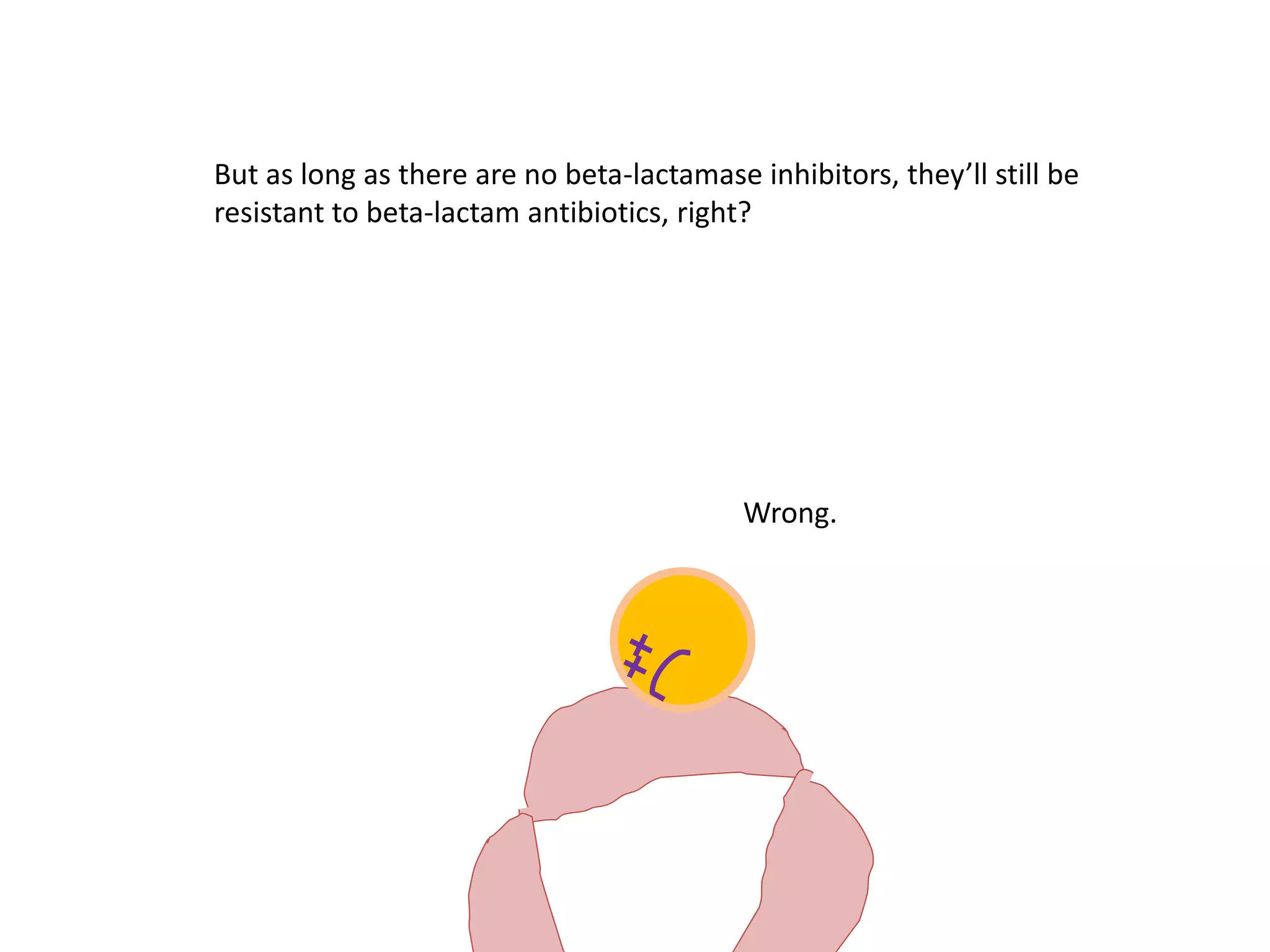 Wrong.
But as long as there are no beta-lactamase inhibitors, they’ll still be
resistant to beta-lactam antibiotics, right?
 