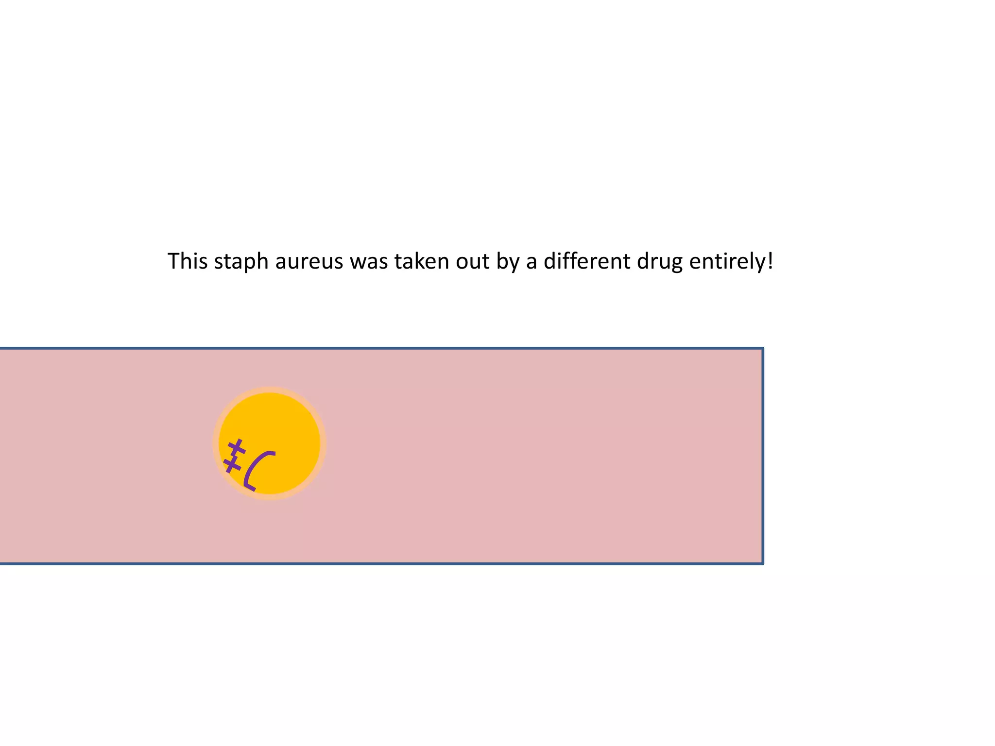 This staph aureus was taken out by a different drug entirely!
 