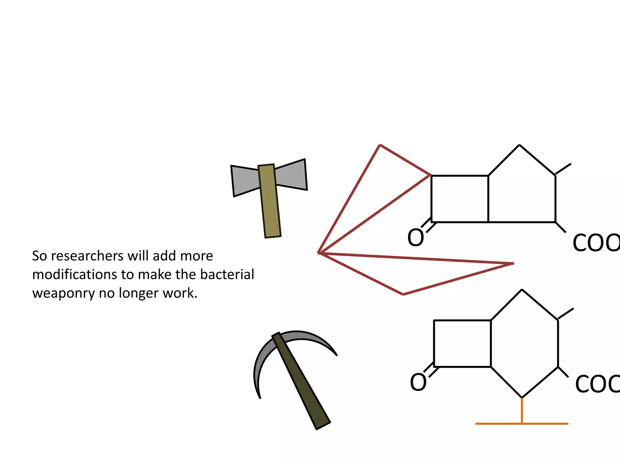 So researchers will add more
modifications to make the bacterial
weaponry no longer work.
O COO
O COO
 