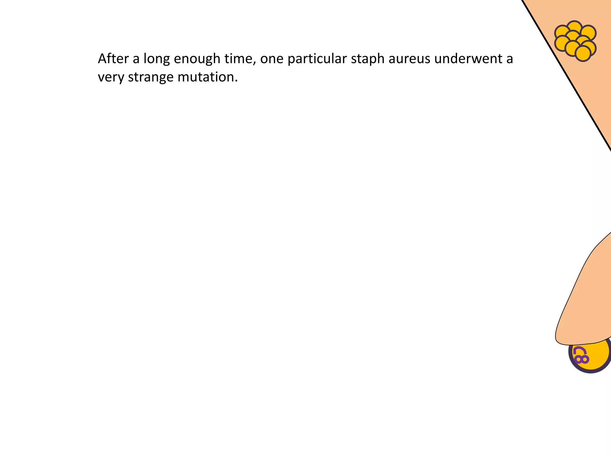 After a long enough time, one particular staph aureus underwent a
very strange mutation.
 