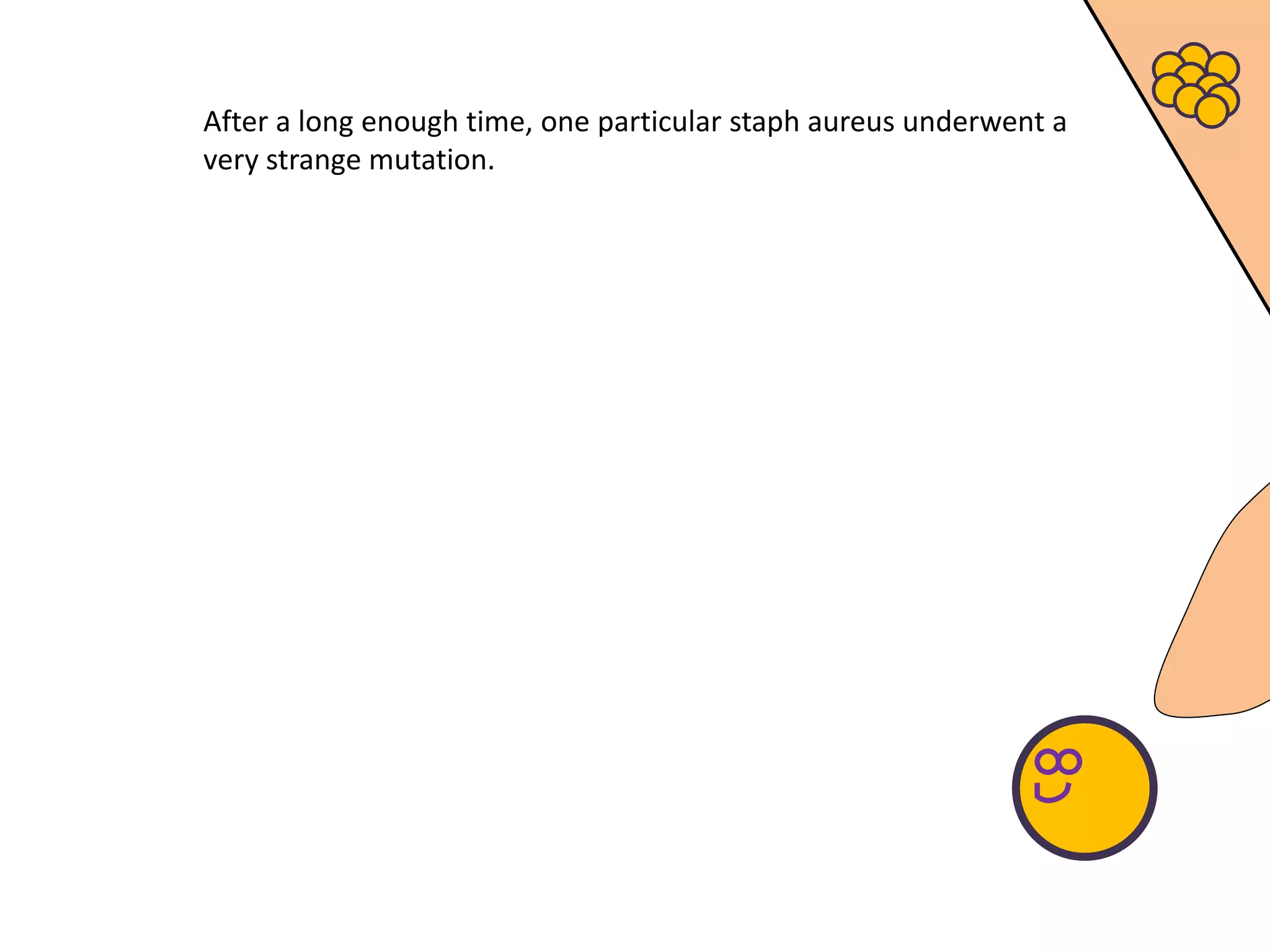 After a long enough time, one particular staph aureus underwent a
very strange mutation.
 