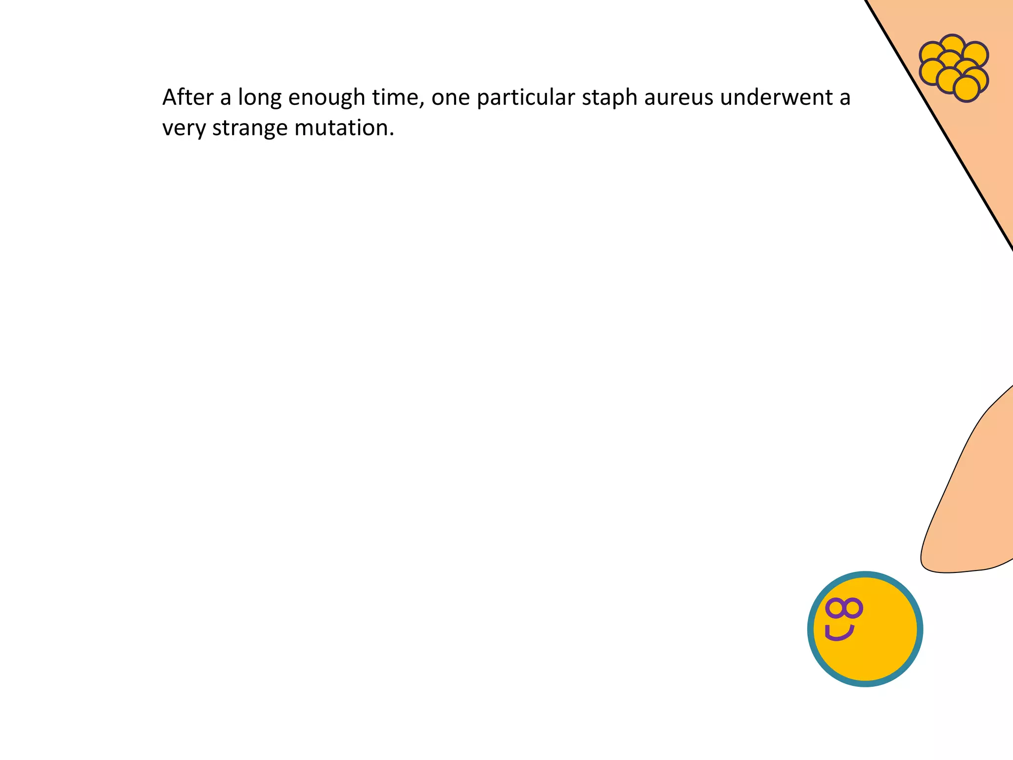 After a long enough time, one particular staph aureus underwent a
very strange mutation.
 