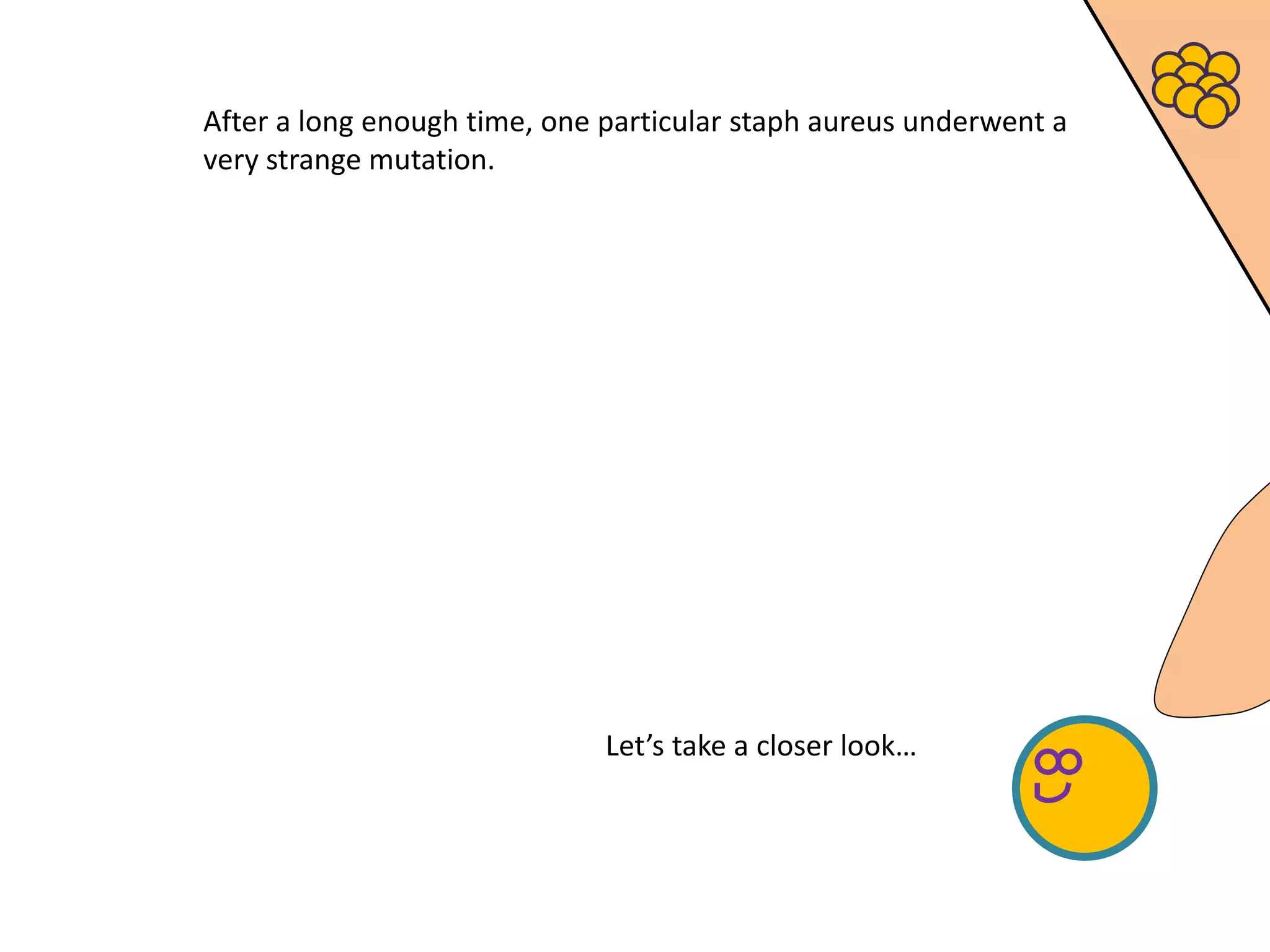 Let’s take a closer look…
After a long enough time, one particular staph aureus underwent a
very strange mutation.
 