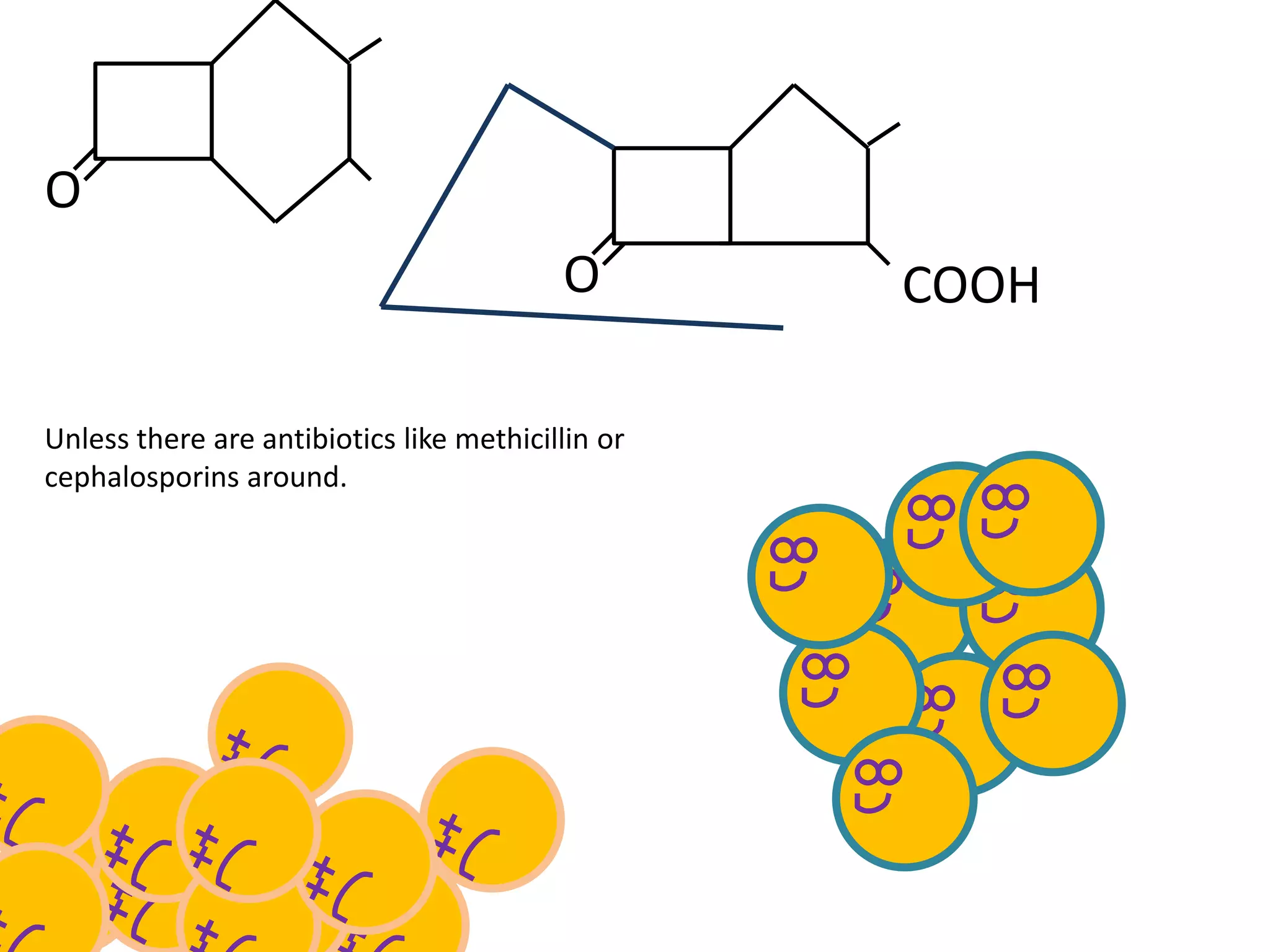 O
O COOH
Unless there are antibiotics like methicillin or
cephalosporins around.
 