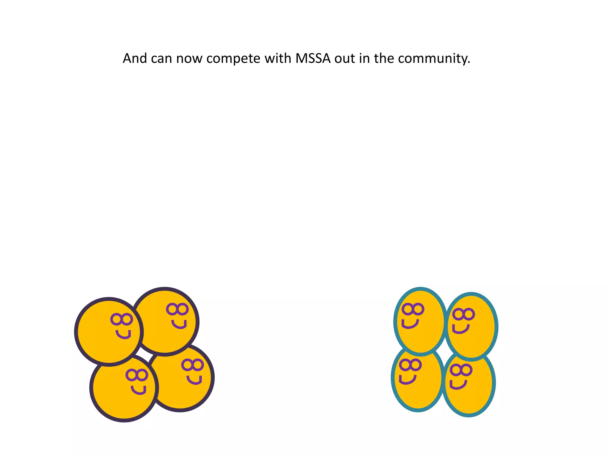 And can now compete with MSSA out in the community.
 