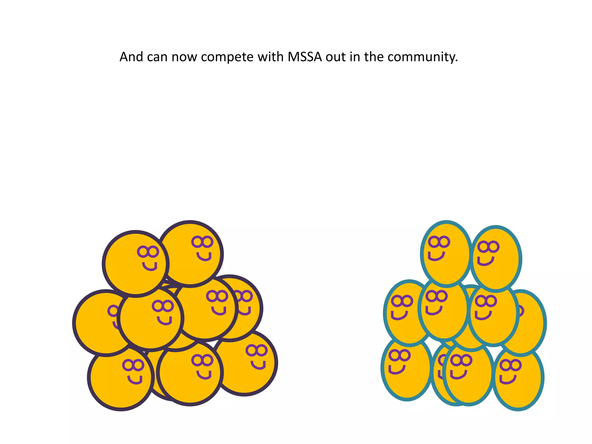 And can now compete with MSSA out in the community.
 