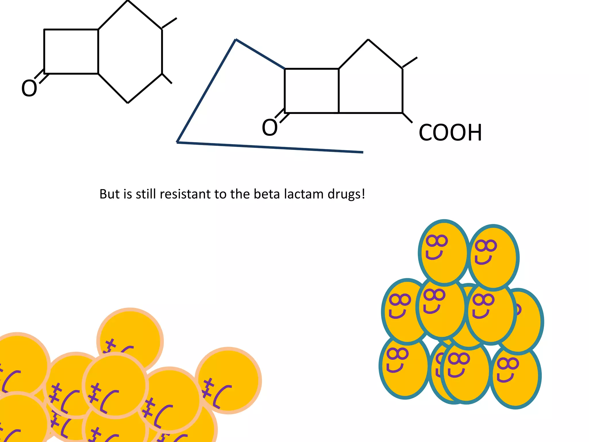 O
O COOH
But is still resistant to the beta lactam drugs!
 