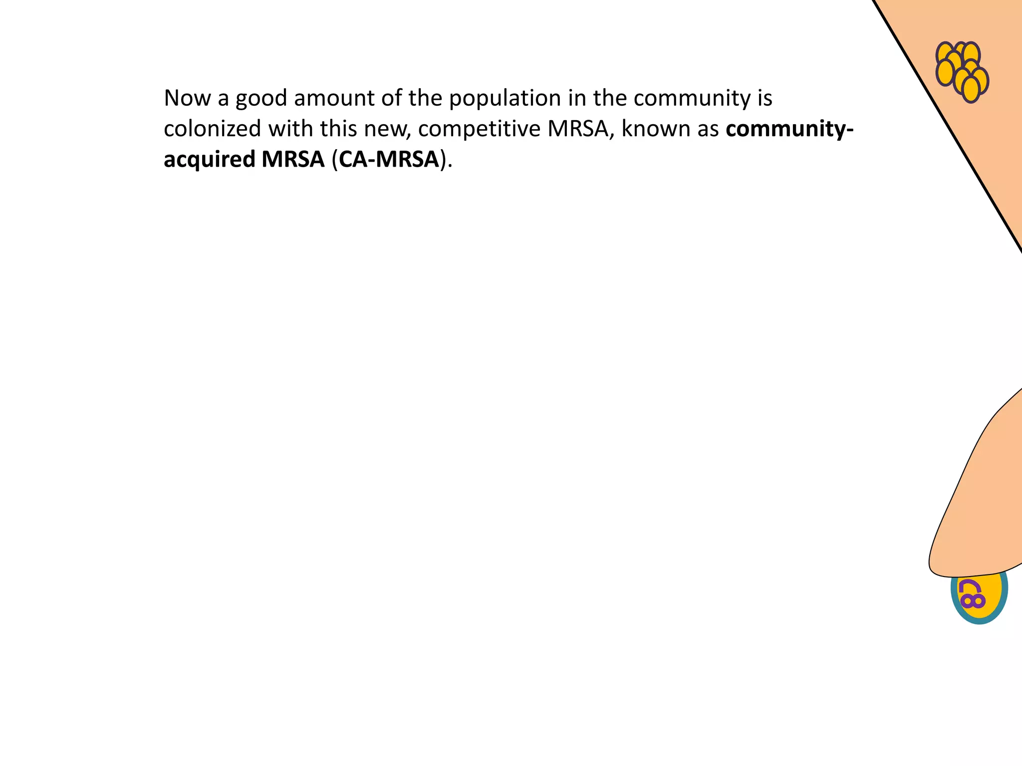 Now a good amount of the population in the community is
colonized with this new, competitive MRSA, known as community-
acquired MRSA (CA-MRSA).
 
