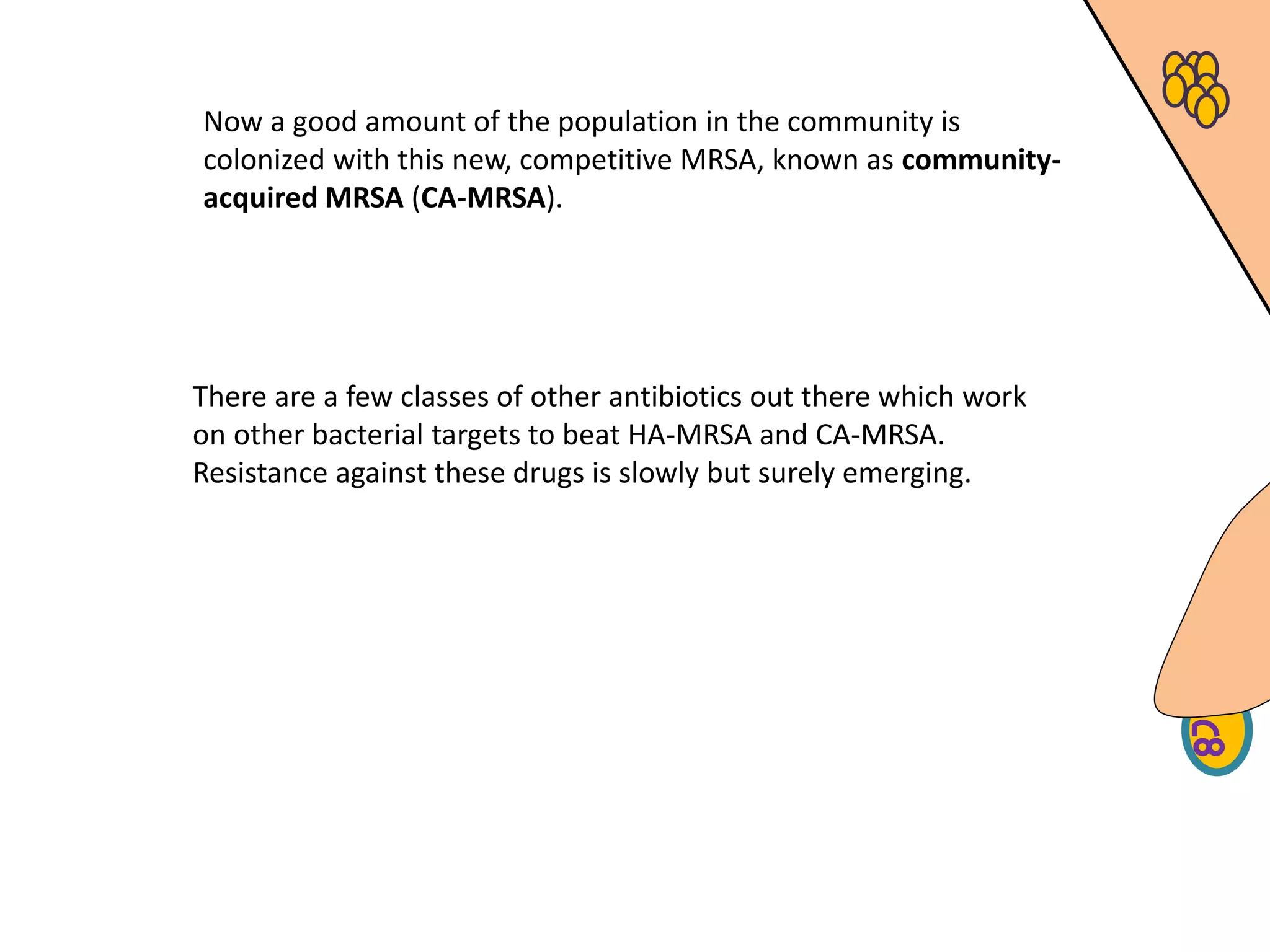 Now a good amount of the population in the community is
colonized with this new, competitive MRSA, known as community-
acquired MRSA (CA-MRSA).
There are a few classes of other antibiotics out there which work
on other bacterial targets to beat HA-MRSA and CA-MRSA.
Resistance against these drugs is slowly but surely emerging.
 