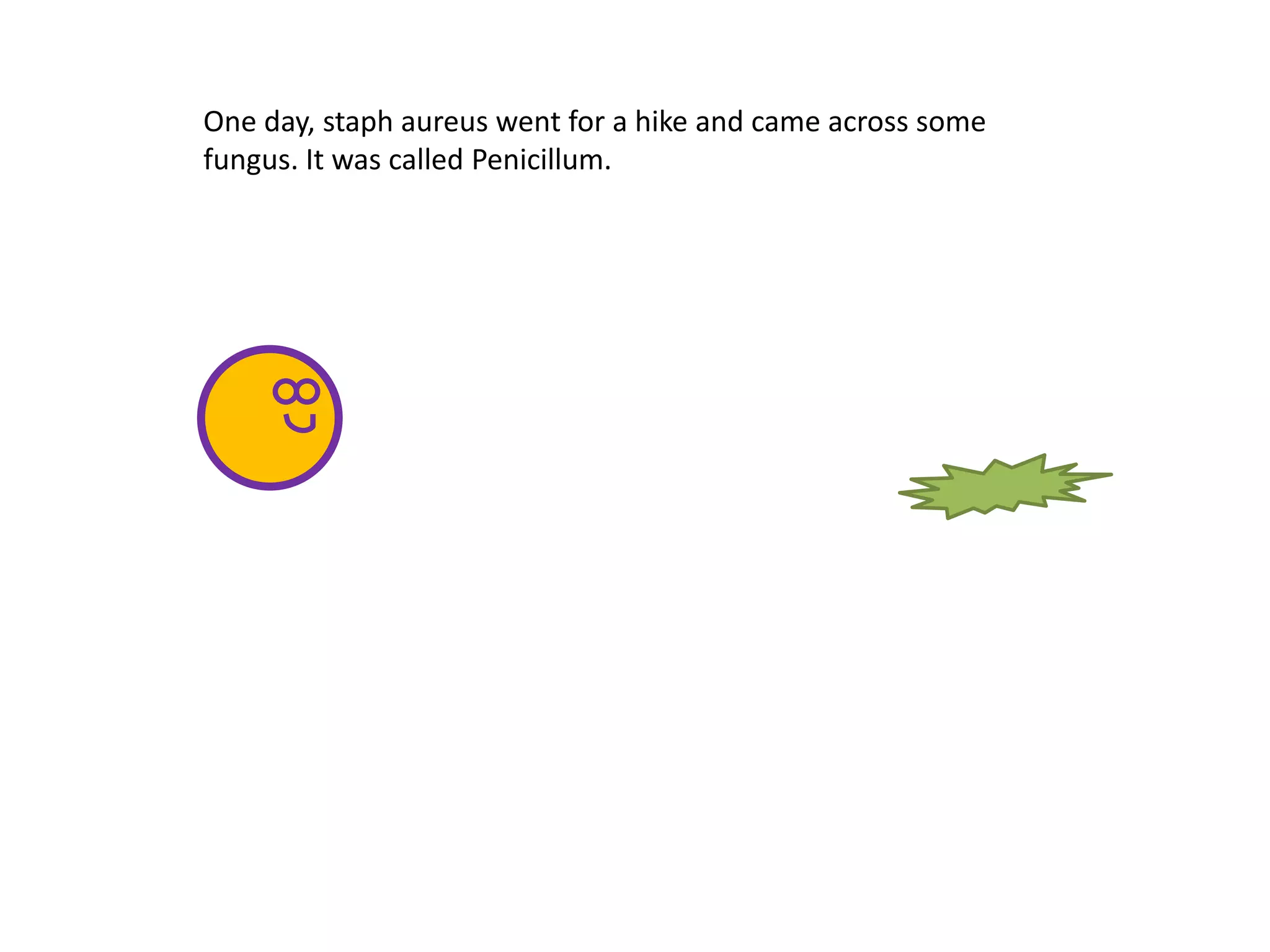 One day, staph aureus went for a hike and came across some
fungus. It was called Penicillum.
 