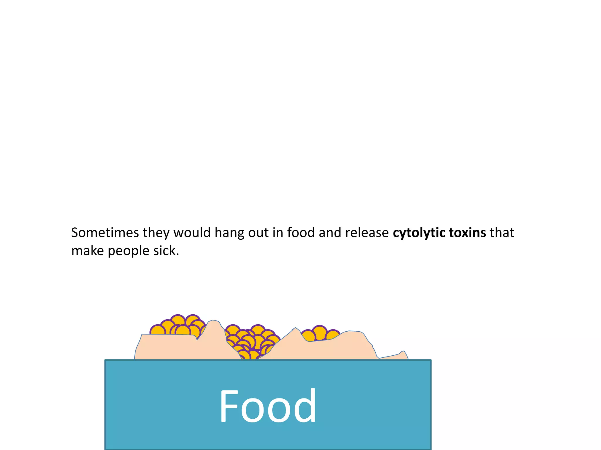 Sometimes they would hang out in food and release cytolytic toxins that
make people sick.
Food
 