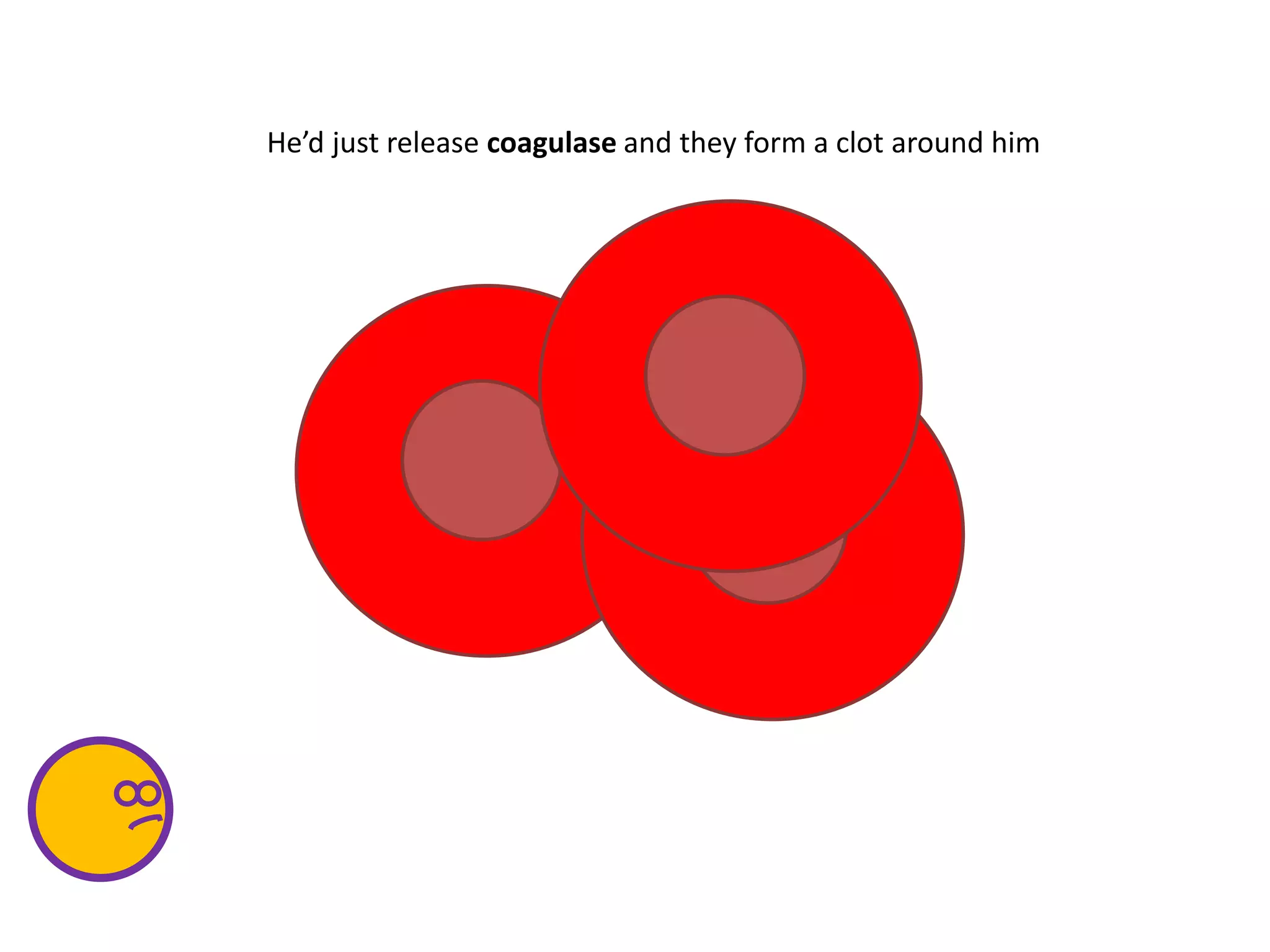 He’d just release coagulase and they form a clot around him
 